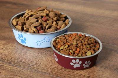 狗狗能吃胡萝卜吗(为什么经常给狗狗吃胡萝卜)