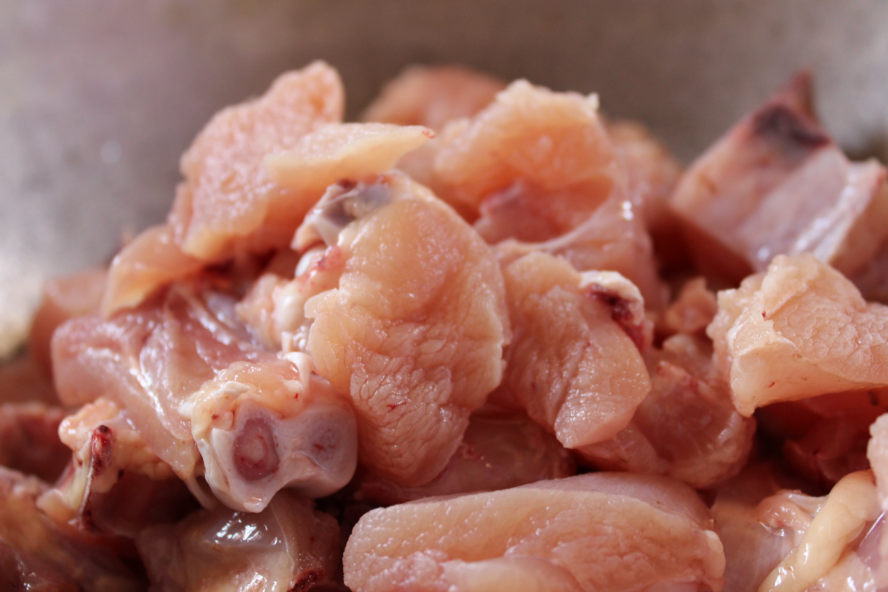 狗狗能吃巧克力吗（详解：狗狗的10大禁忌食物）