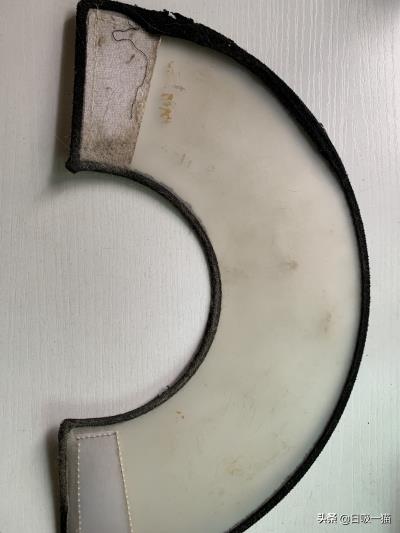 猫剪指甲出血了怎么办（手把手教你如何给猫咪剪指甲）