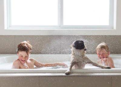 狗能用人的沐浴露吗（别再给狗狗用人的沐浴露了）