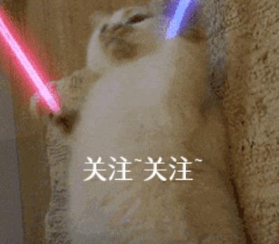 狗狗经常舔哪几个地方（狗狗脚掌缝发红一直舔）