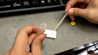 成年狗狗细小能治好吗