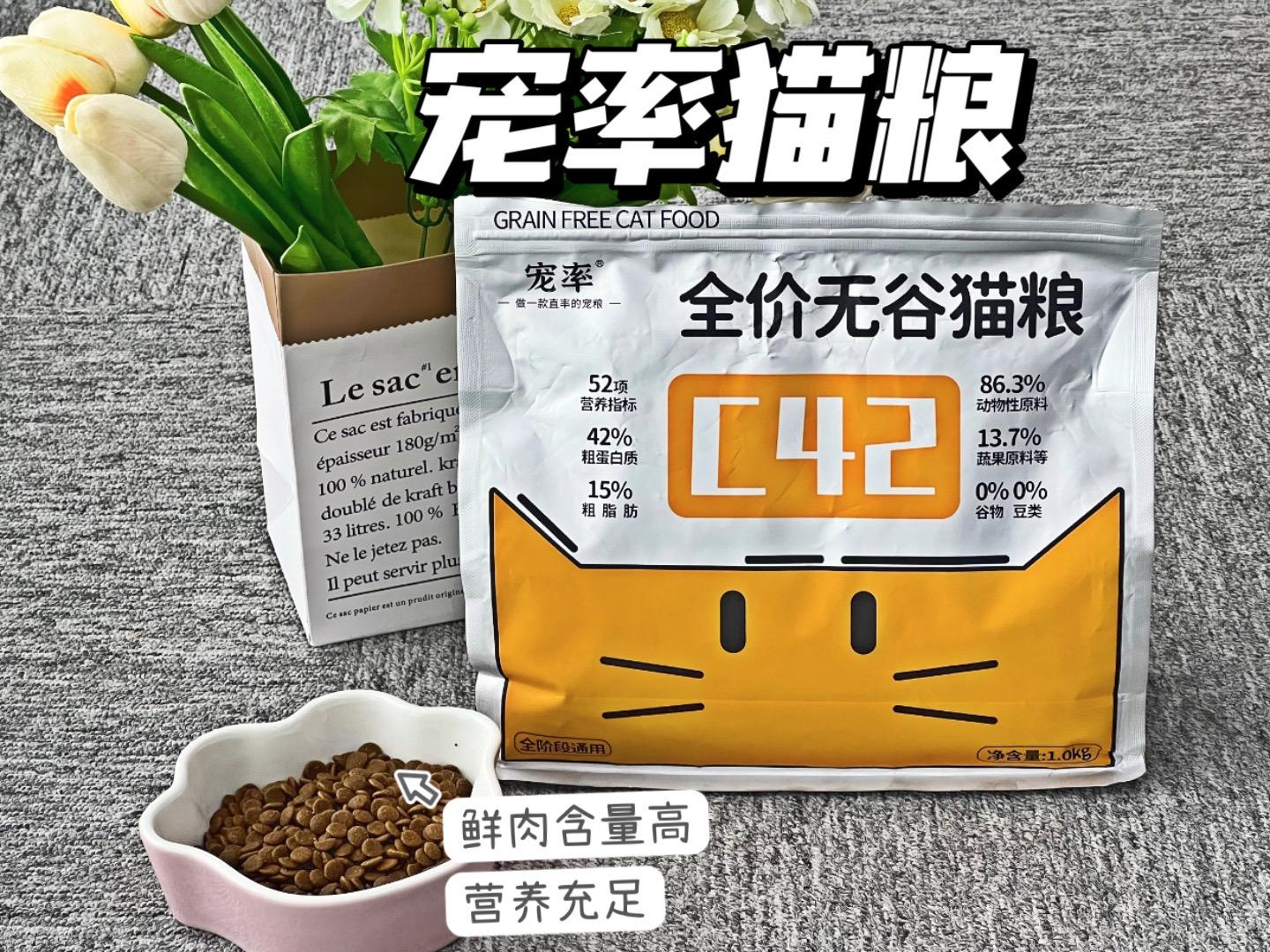 猫可以吃豆腐吗熟的(盘点新手养猫注意事项)