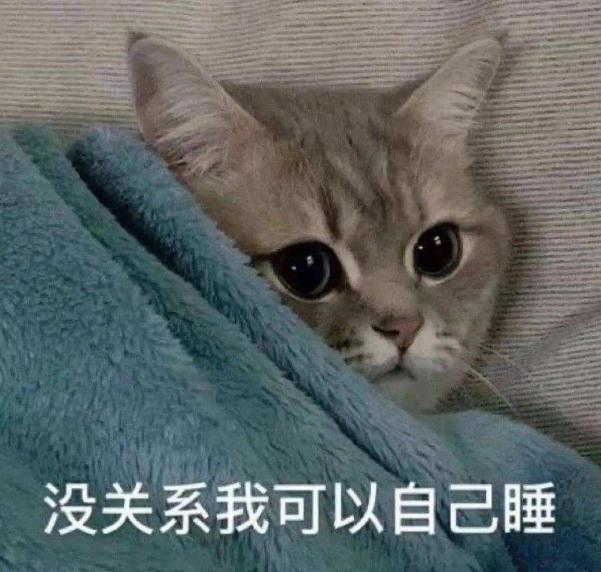 猫哭了代表什么预兆(猫在哭是什么预兆)