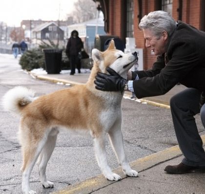 宠物犬排名及图片大全（宠物犬种类大全及名称）
