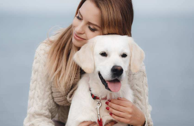 不想养的宠物如何安置才妥当