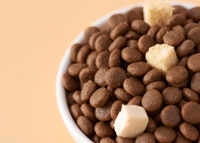 成年猫一天吃多少猫粮（猫咪每天需要吃多少猫粮）