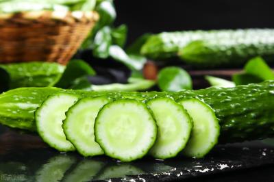 狗狗吃什么蔬菜好（给狗狗吃这几种果蔬）