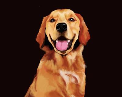 狗狗得什么病会引起大量喝水