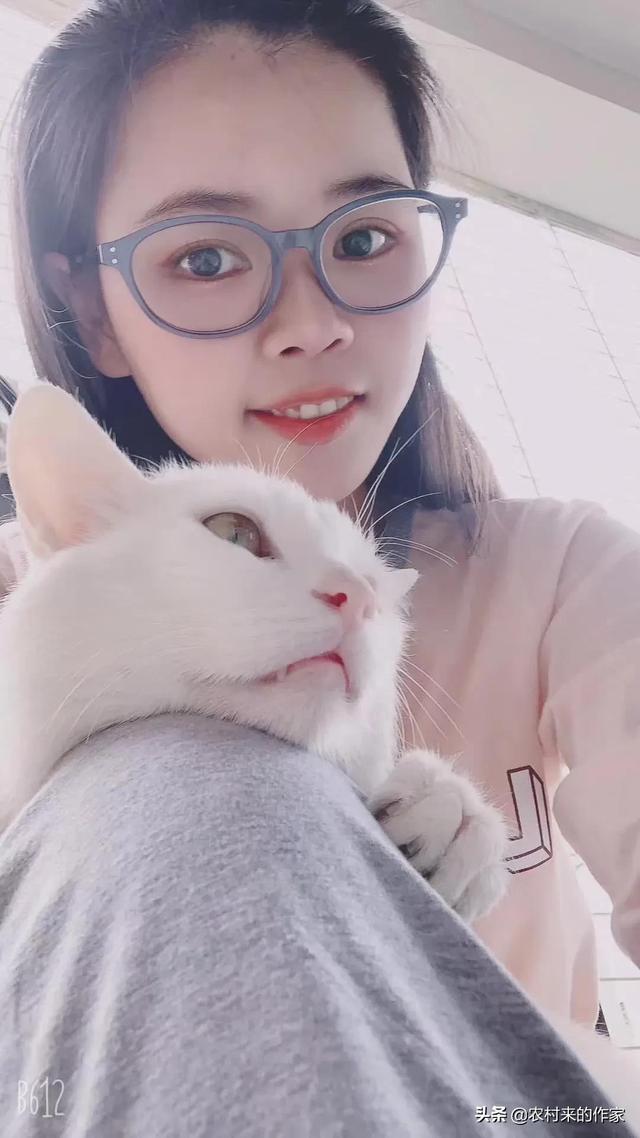 猫死后会给主人托梦吗(猫给人托梦意味着什么)