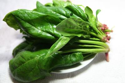 狗狗吃什么蔬菜好（给狗狗吃这几种果蔬）