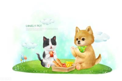 猫咪可以吃什么水果