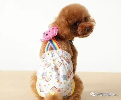 狗狗阴道肿了(狗狗の大姨妈)