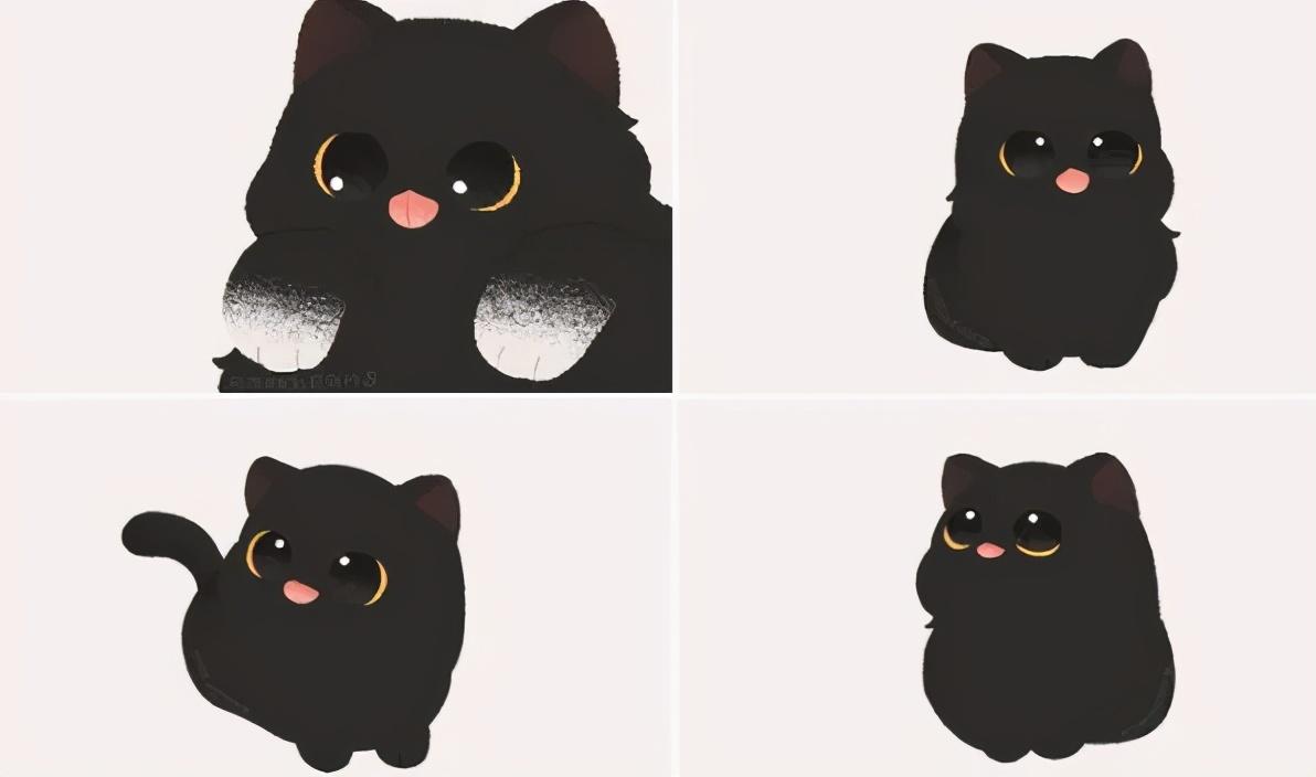 治愈人的猫咪图片合集（盘点抖音最火的猫猫头像）