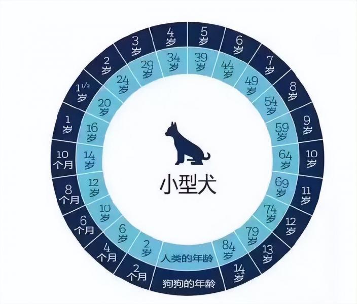 斗牛犬图片大全大图（详解：法斗犬什么颜色为最纯）