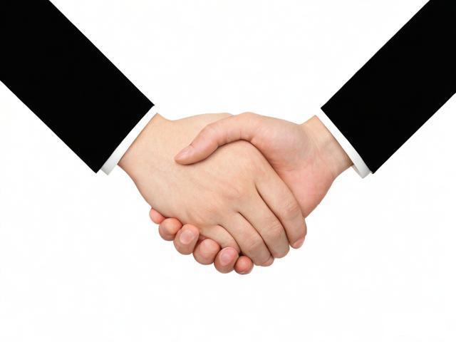 当前版本顶尖手势阵容揭晓